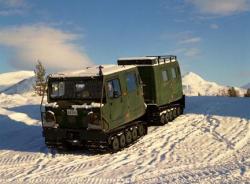 bv206