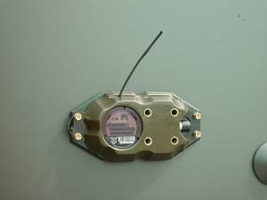 Radio Laser Detector Modules (RLDM)