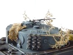 tiger 1e image 4