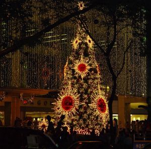 Christmas Tree at Orchard Road