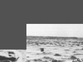 gallery8Row1xCol2.jpg