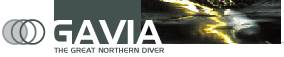 GAVIA