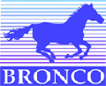 Bronco Models
