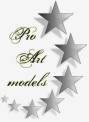 Pro Art Models
